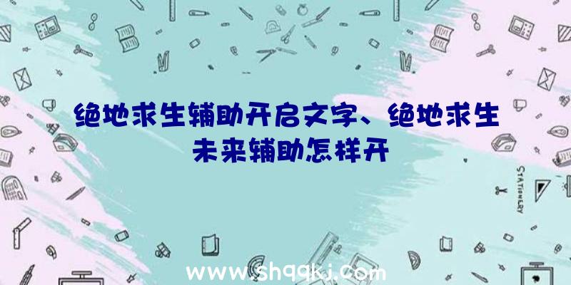 绝地求生辅助开启文字、绝地求生